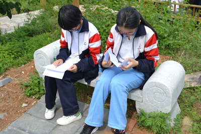 图片关键词