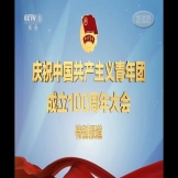 北京市青少年法律与心理咨询服务中心党支部  组织党员、员工收看庆祝中国共产主义青年团成立一百周年大会