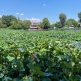 开学如何调整状态