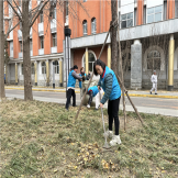 学雷锋活动丨发扬雷锋精神，共建文明园区